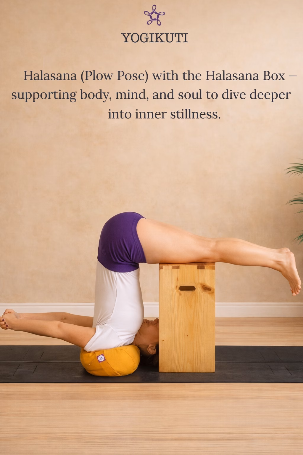 OfferingTree Email Automation Options for Yoga Studio Recurring Revenue