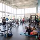 Gym business features