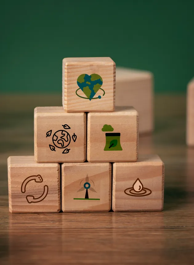 Erudatia-academics-three-curriculum-structure-image-five