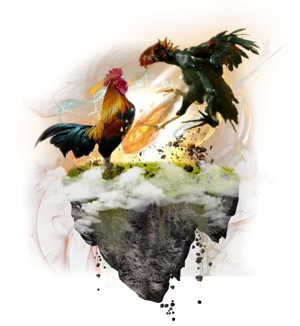 Two roosters fighting on a floating grassy island surrounded by clouds and light effects.