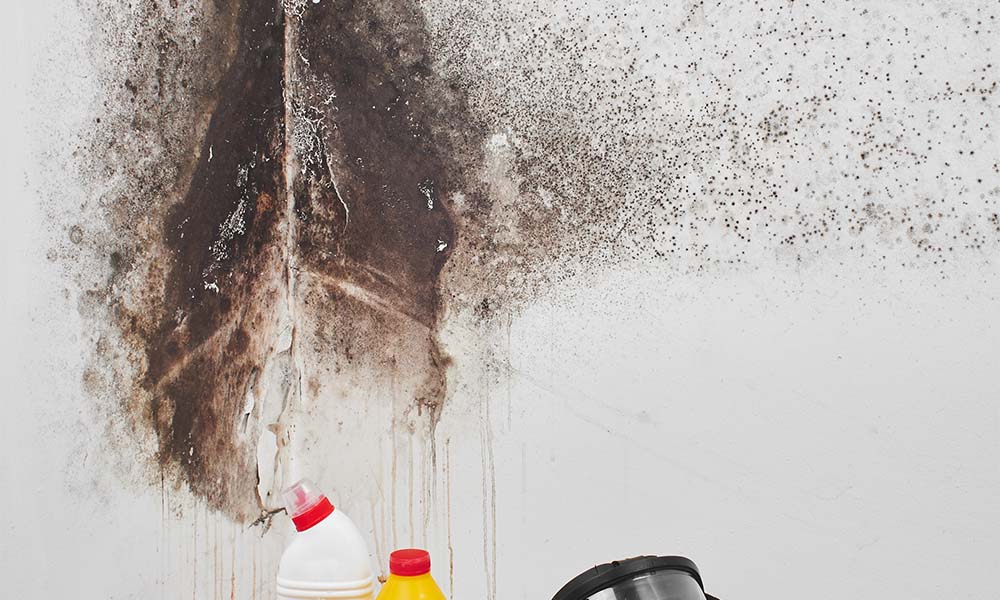 How to Prevent Mould in Your Home After Heavy Rain