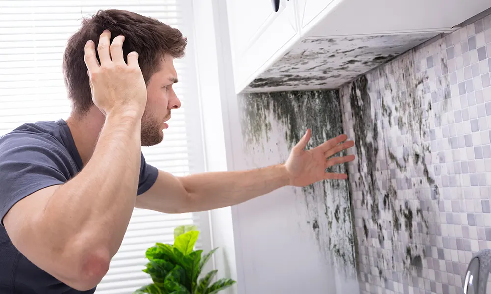 How To Prevent Mould And Mildew In The Bathroom