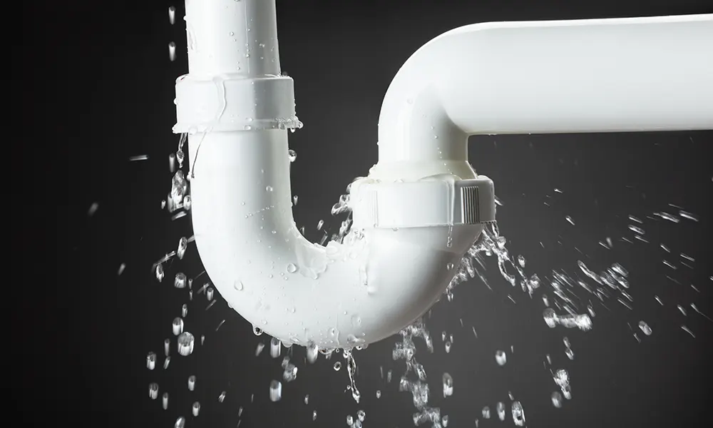 Signs You Have A Leak