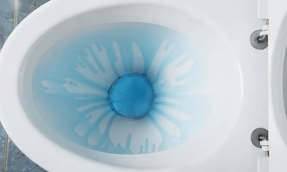 8 Surprising Causes of Low Toilet Water and How to Flush Away the Problems!