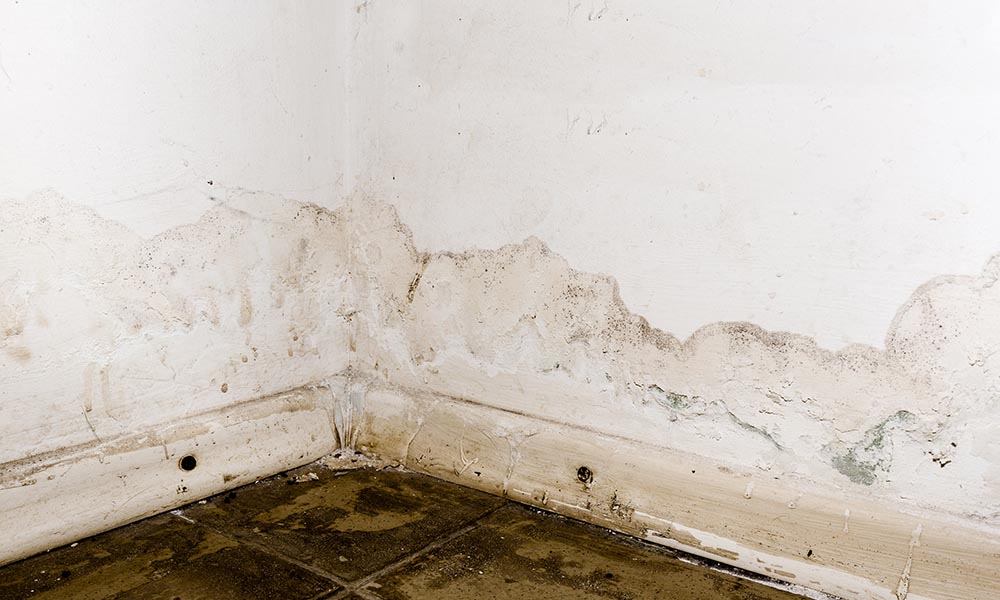 Water Damage Statistics 2025: Understanding the Impact