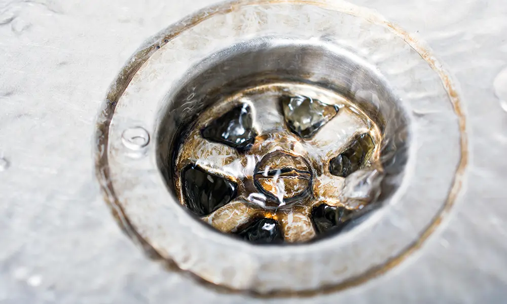 What to Do When Your Drain Smells: Quick Solutions for a Fresher Home