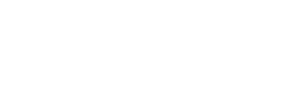 Digisure