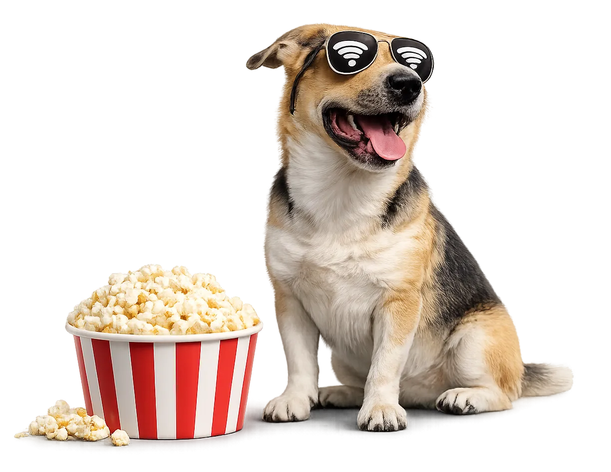 A happy dog wearing sunglasses with Wi-Fi symbols sitting next to a striped bucket of popcorn.