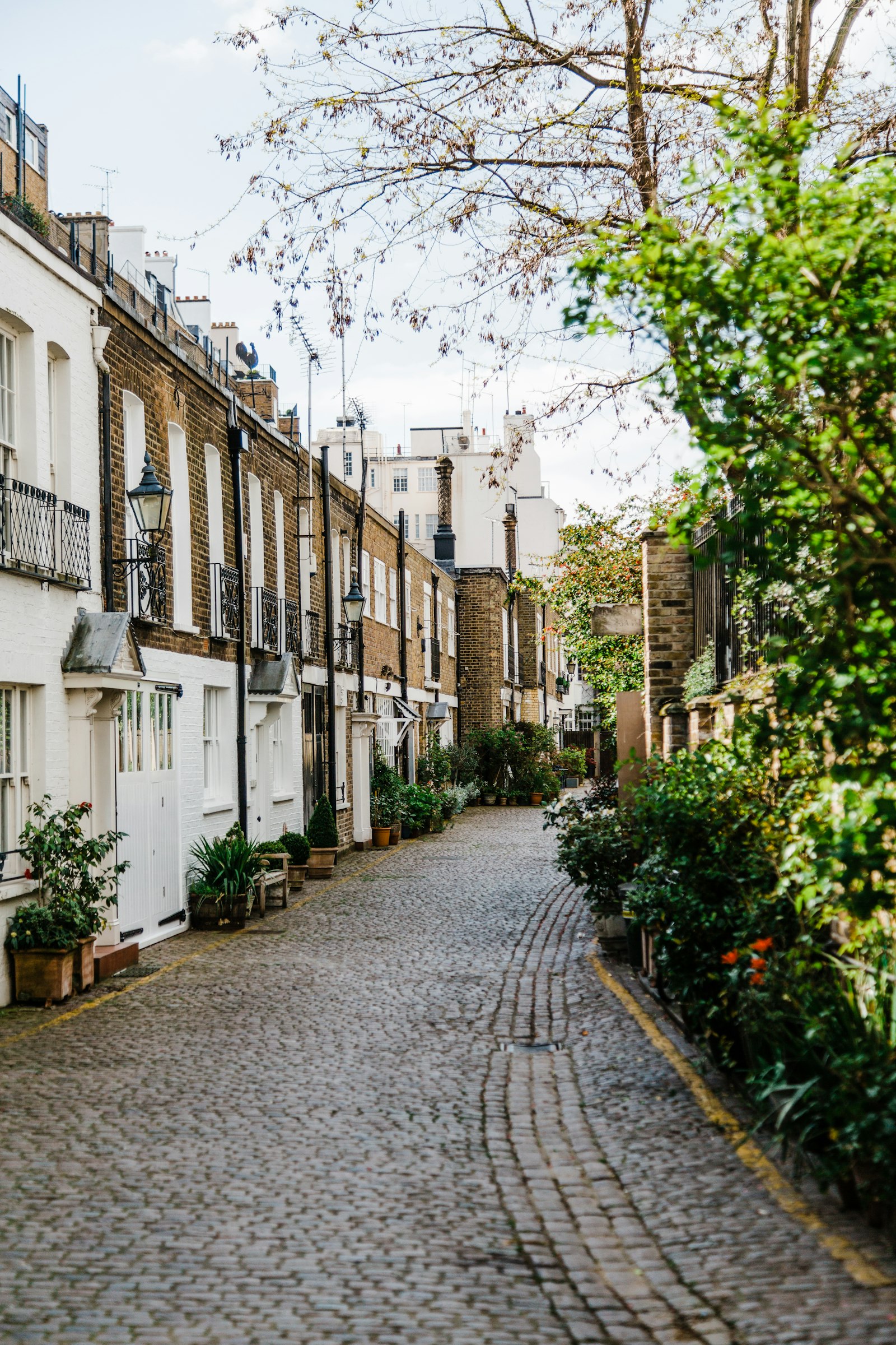 Cobbled Chelsea mews lined with period townhouses