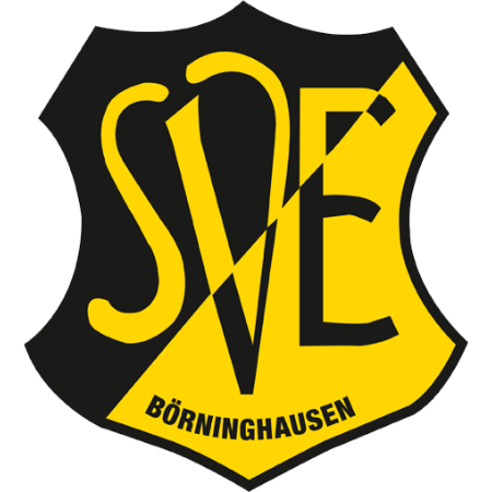 Sponsoring SVE