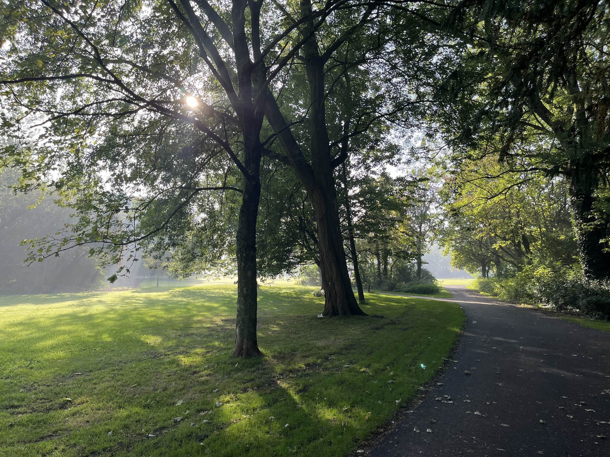 Sfeerbeeld park in Dordrecht