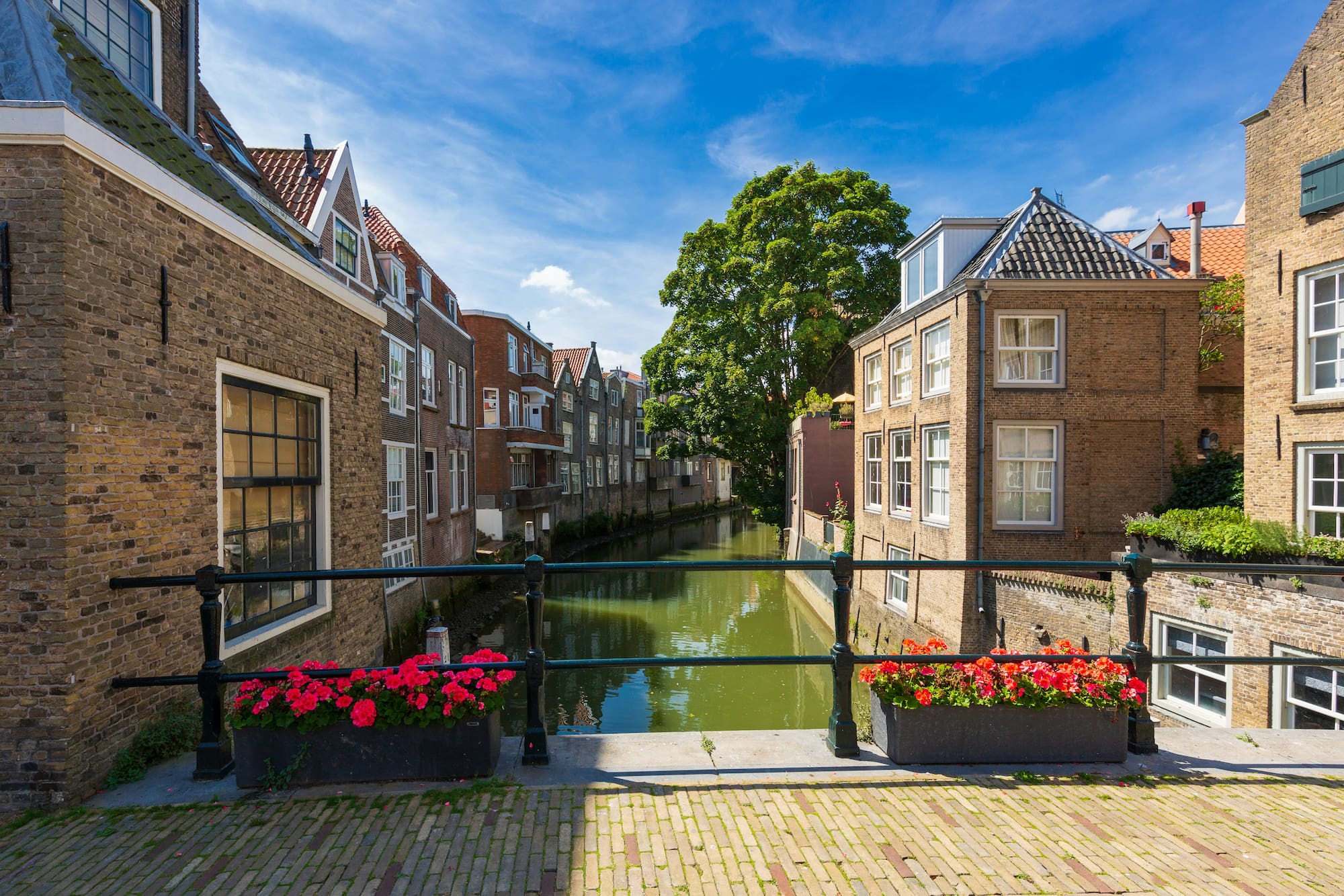 Sfeervol straatje in Dordrecht