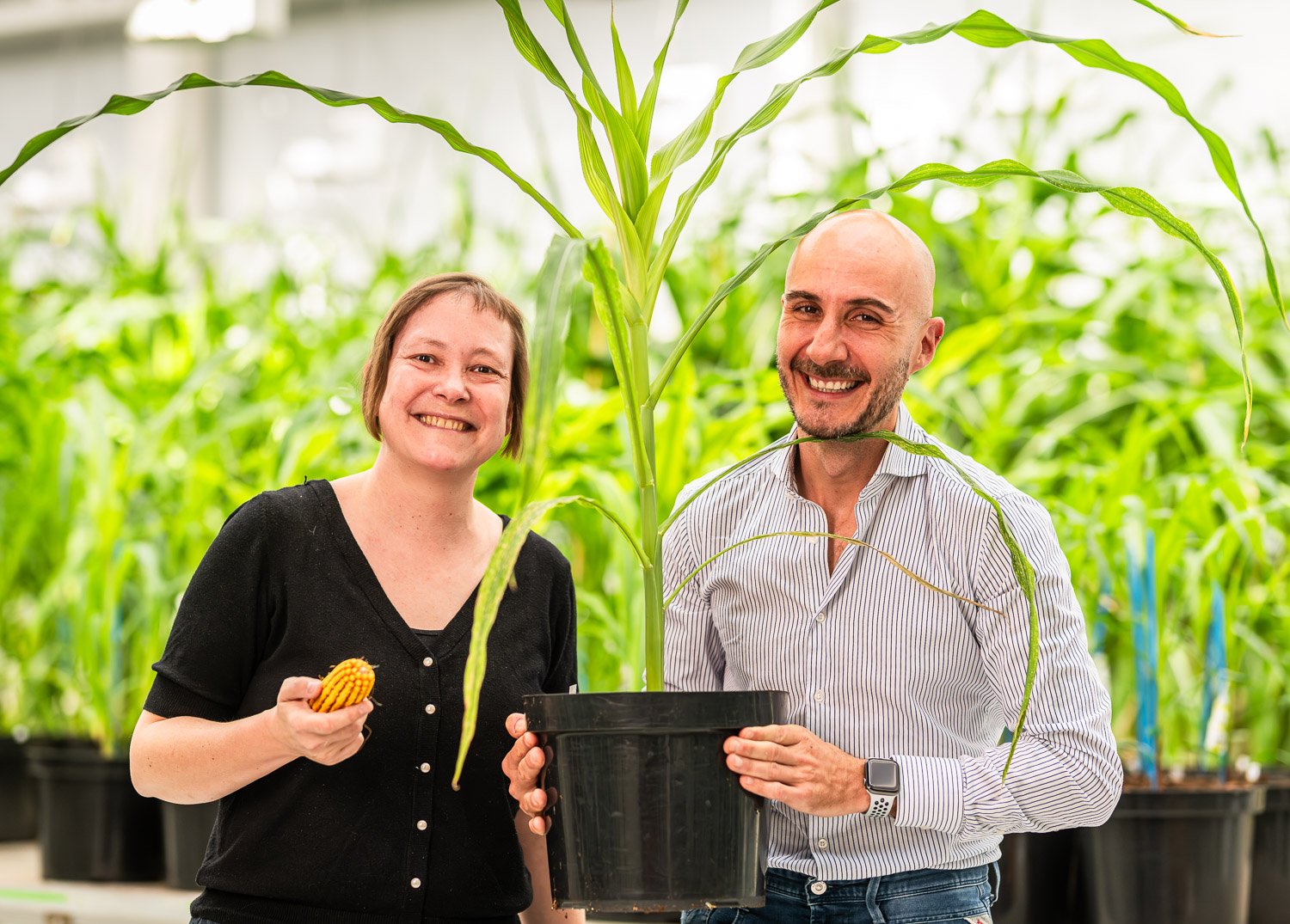 Rainbow Crops founders in the greenhouse