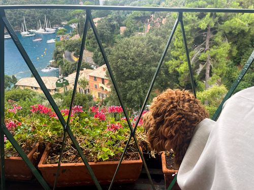 La Terrazza, Belmond Hotel Splendido, Portofino