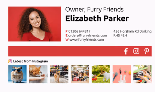 Ecommerce Email Signature
