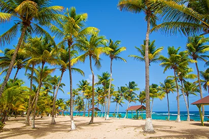 Plage de sable fin et cocotiers de l'hôtel Mahogany Hôtel Résidence & Spa à Pointe de la Verdure, Le Gosier, Guadeloupe.