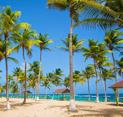 The beach, palm trees, and traditional huts at the Mahogany Hôtel Résidence & Spa in Pointe de la Verdure, Le Gosier, Guadeloupe.