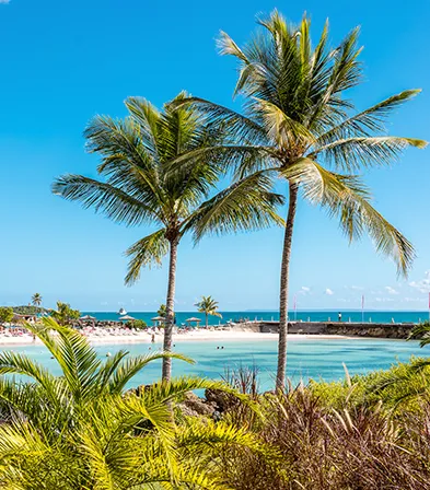 Palmeraie luxuriante encadrant une vue splendide sur le lagon cristallin au Mahogany Hôtel, Le Gosier.