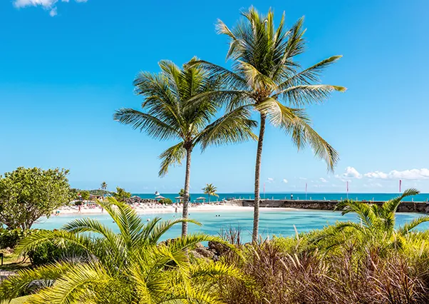Strand und Lagune gesäumt von Kokospalmen am Mahogany Hôtel & Spa, Le Gosier, Guadeloupe.