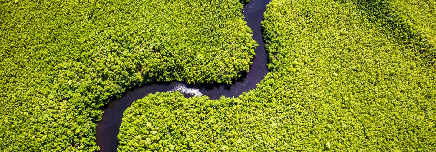 Vue aérienne de la rivière serpentant dans la mangrove près du Mahogany Hôtel Résidence & Spa, Le Gosier, Guadeloupe.