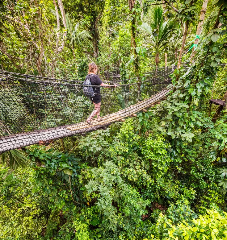Randonneuse traversant la canopée de la forêt tropicale guadeloupéenne sur un pont de singe.
