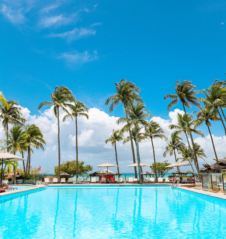 Palmiers bordant une plage tropicale à l’Hôtel Résidence & Spa Mahogany, le Gosier Guadeloupe.