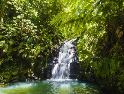 Vista de la cascada rodeada de vegetación densa. Mahogany Hôtel Résidence & Spa, Pointe de la Verdure, Le Gosier, Guadalupe.