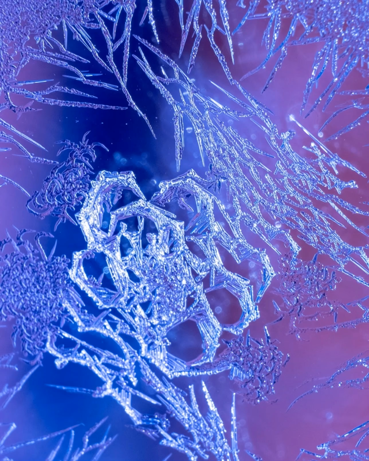 Cryogenic