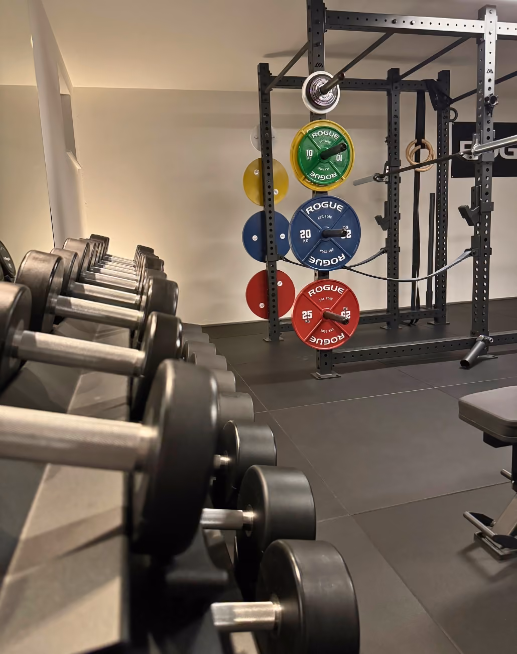 Blick in ein Fitnessstudio mit einer Reihe von Kurzhanteln auf der linken Seite und einem multifunktionalen Krafttrainingsturm mit farbigen Gewichtsscheiben der Marke Rogue auf der rechten Seite.
