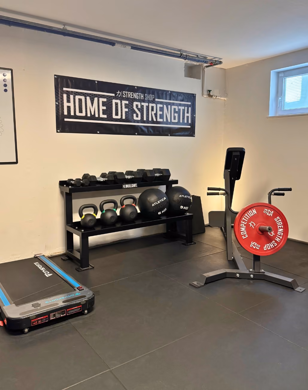 Fitnessraum mit einer Hantelbank, Kettlebells, Medizinbällen, einem Laufband und einer Ruder-Maschine mit roten Gewichtsscheiben.
