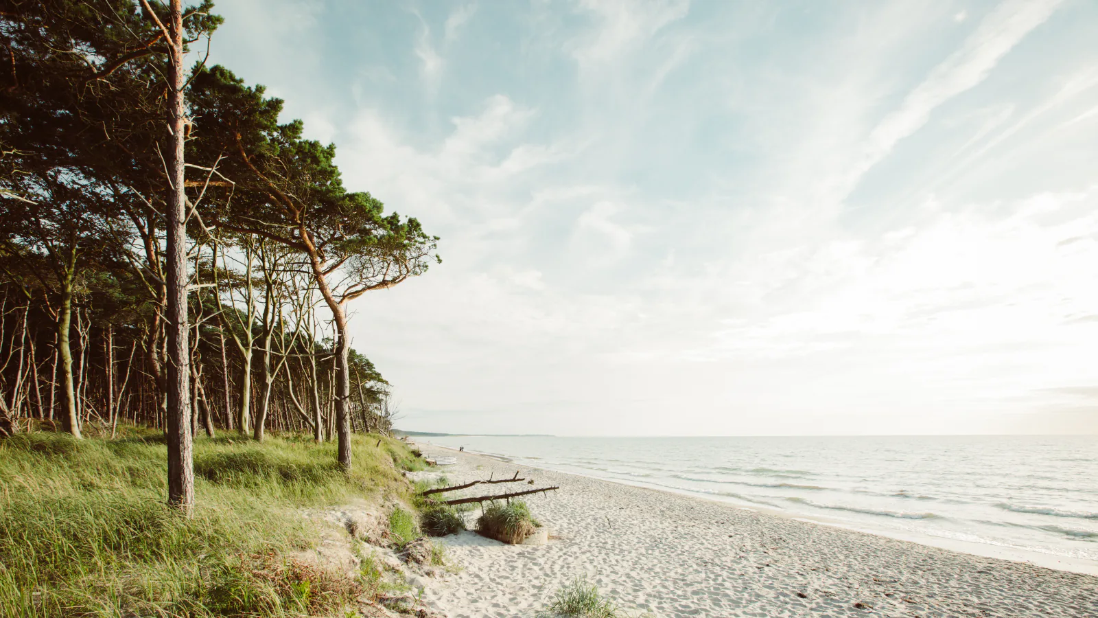 Darß beach on the German Baltic coast