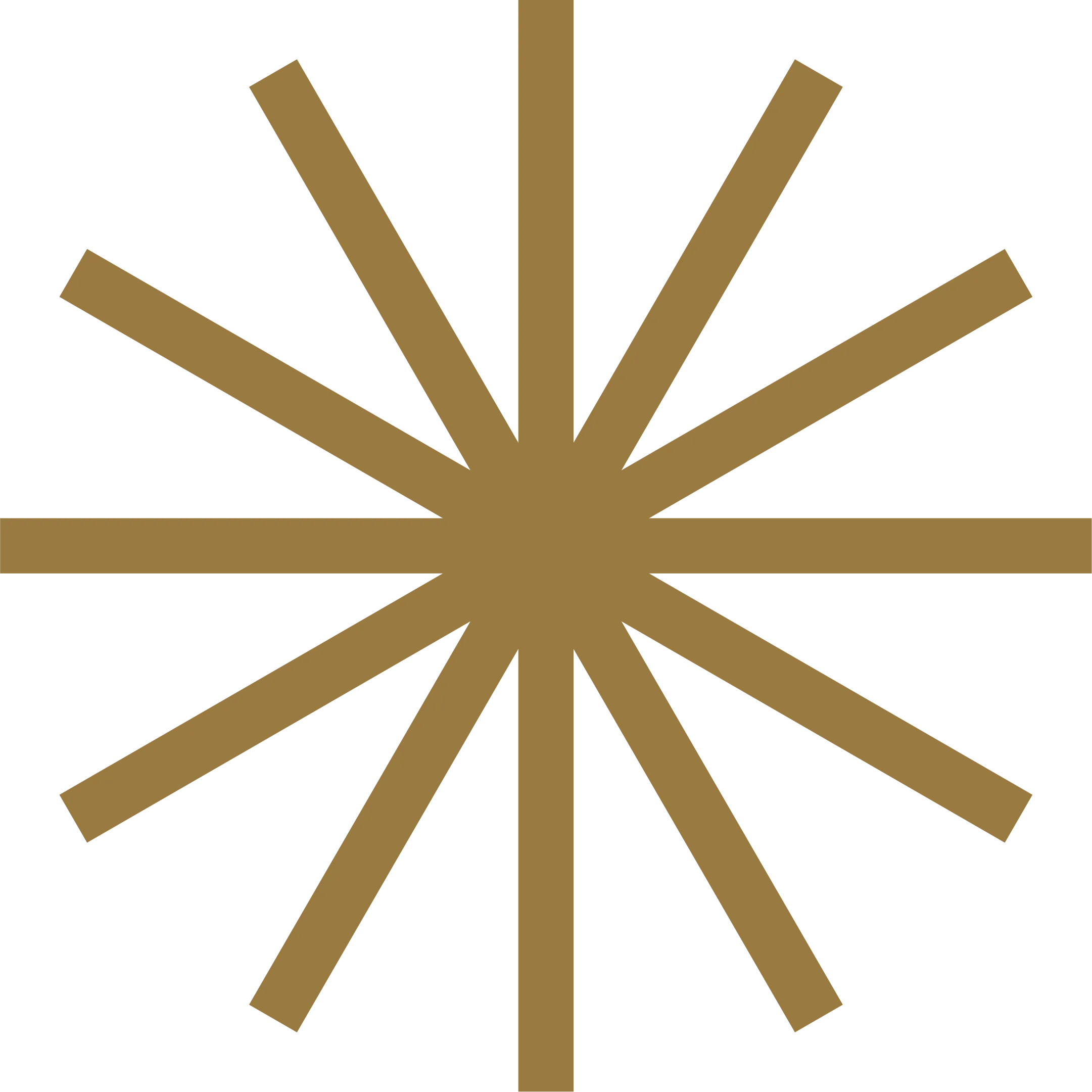 Brown starburst with eight radial lines on white background.