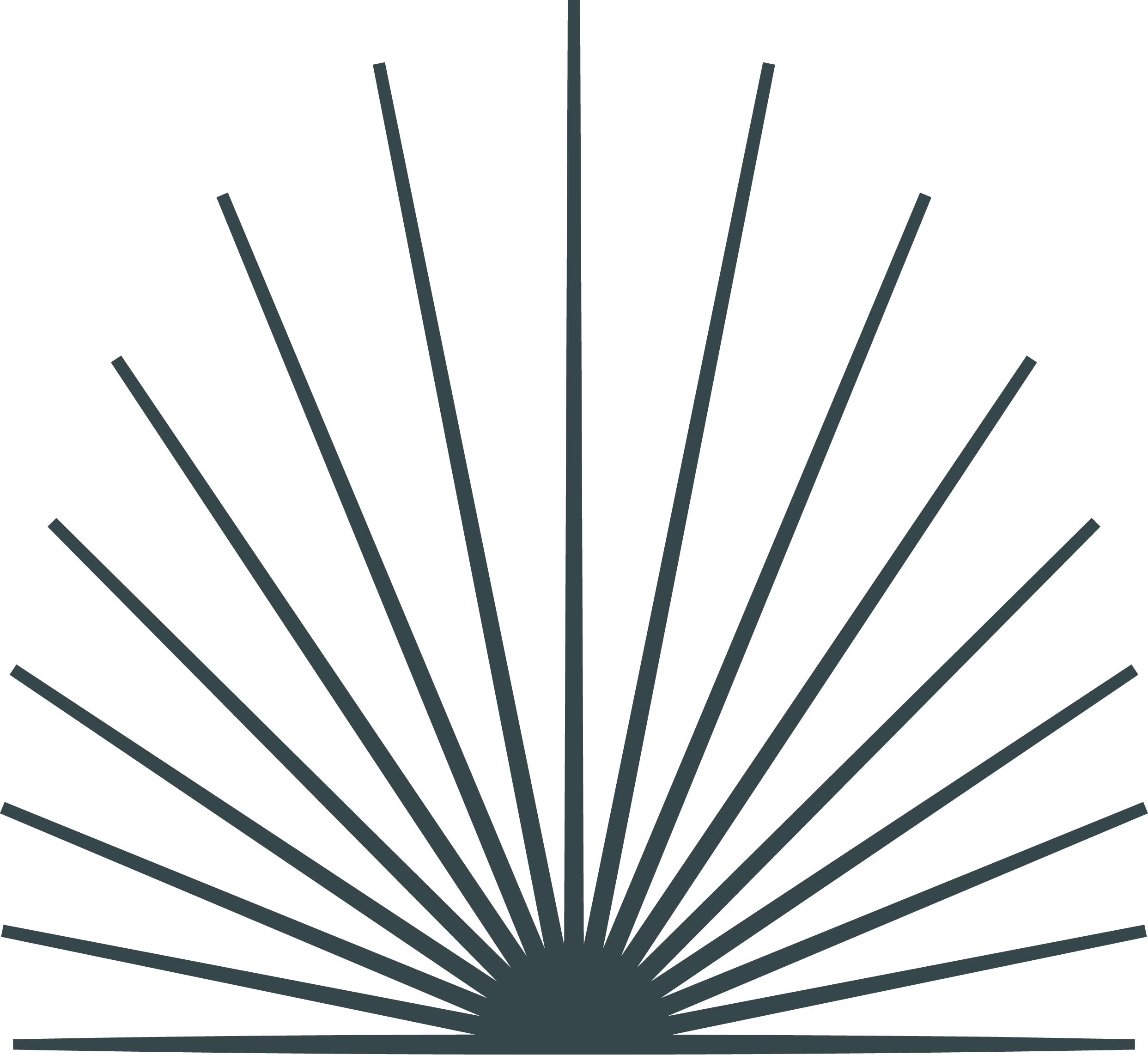 Black sunburst design with straight radiating lines on white background.