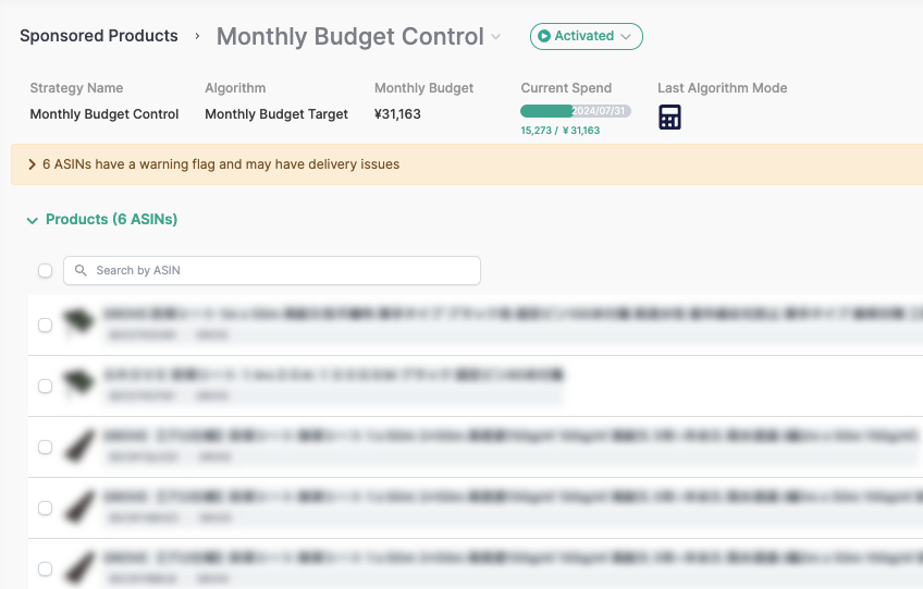 monthly budget control page