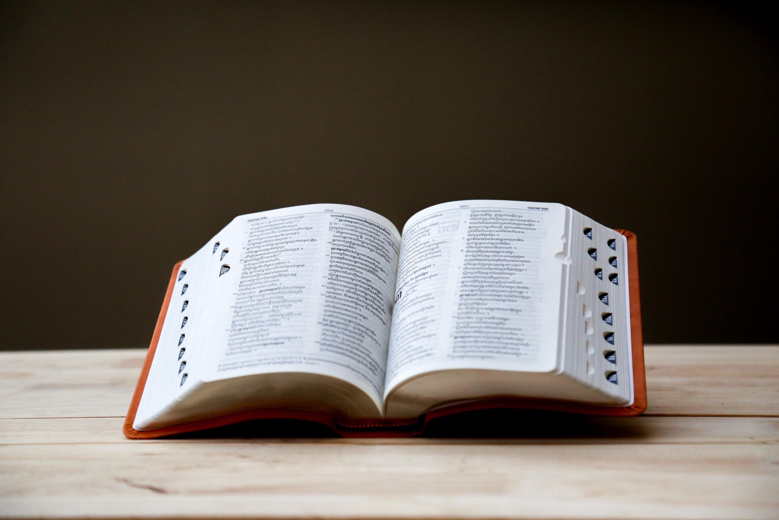 Amazon Search Term Report: How to Find & Use It