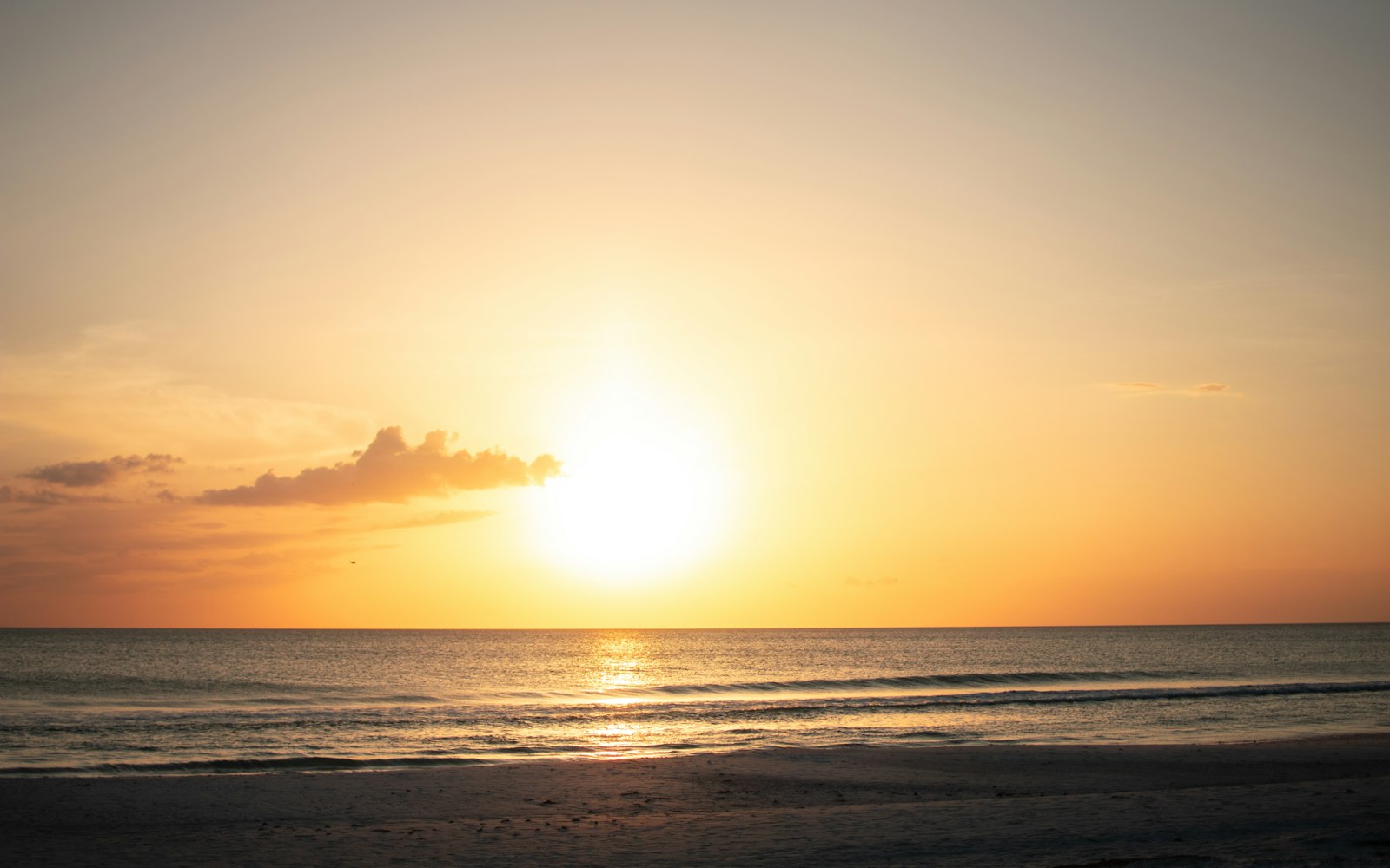 Home-Service Marketing in Safety Harbor