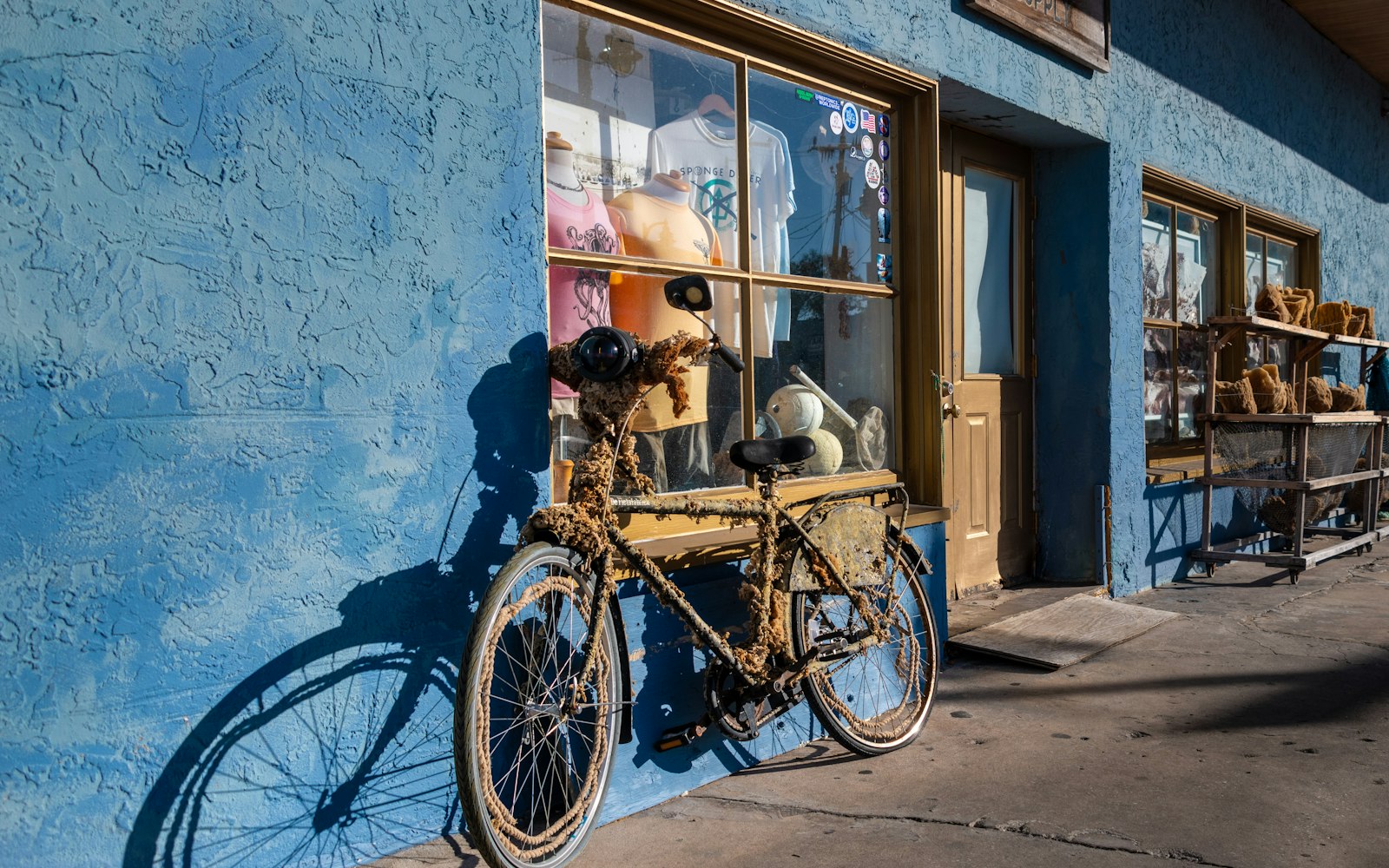 Home-Service Marketing in Tarpon Springs