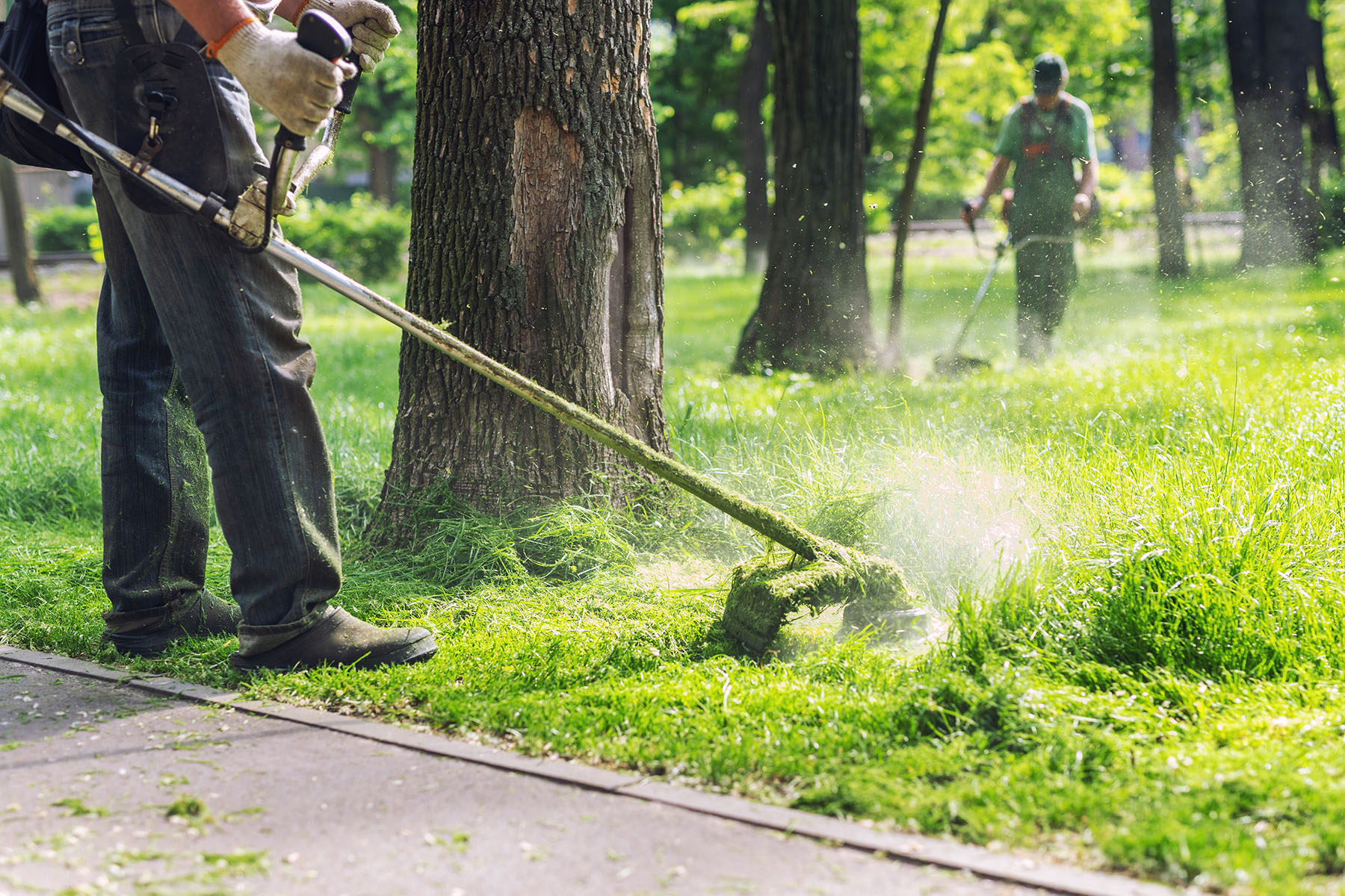 Landscaper trimming grass at a Hyde Park, Tampa property