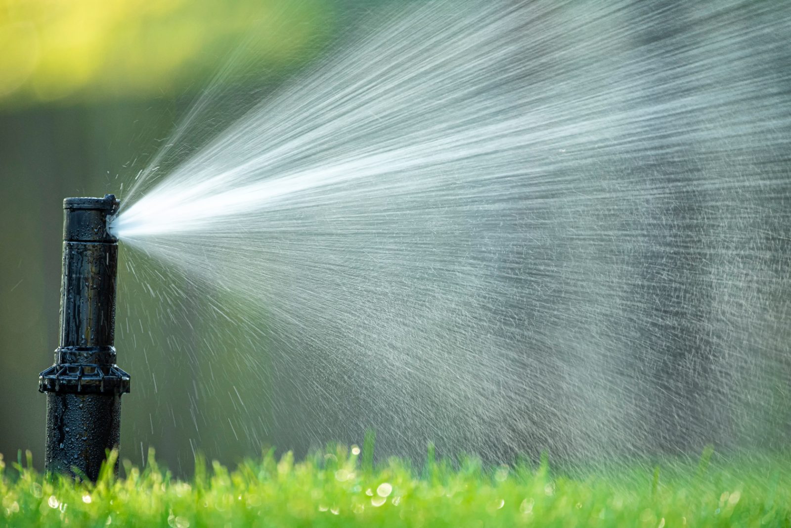How do Plant City irrigation companies get calls under water limits?