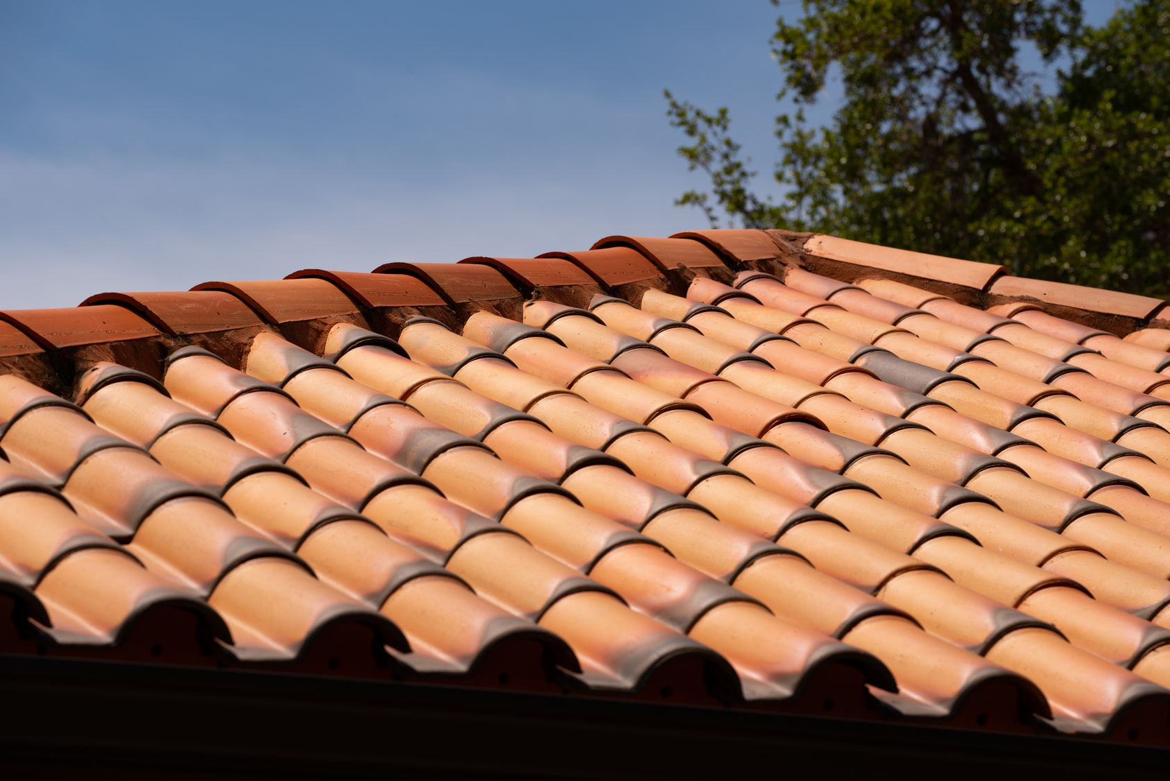 What are the most common and costly home repairs in Tampa Bay, and which pages win them?