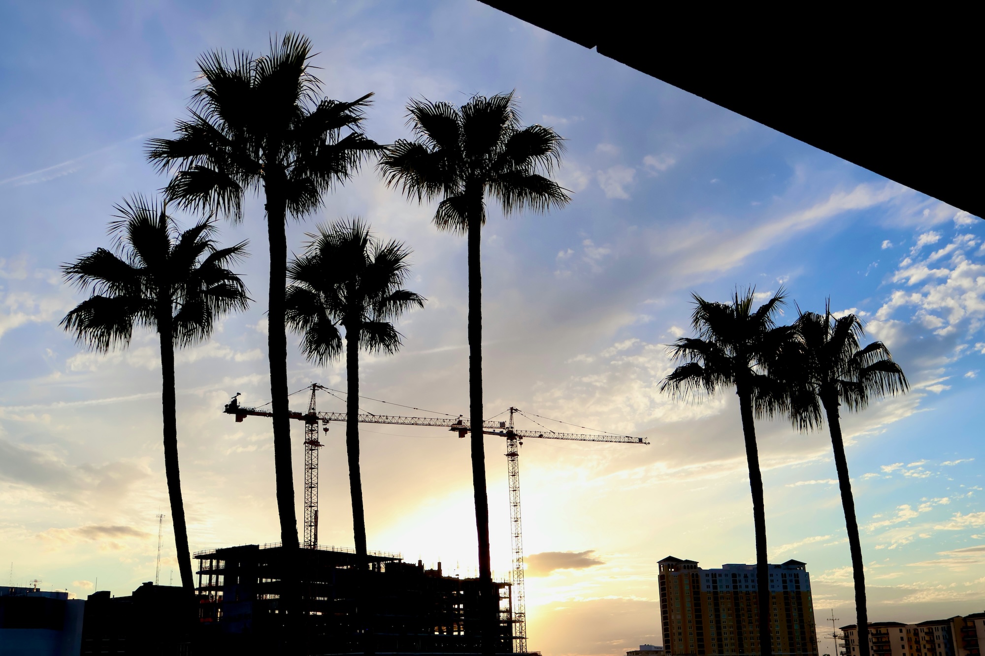 Silhouettes of palm trees and construction cranes against a sunset sky with clouds.