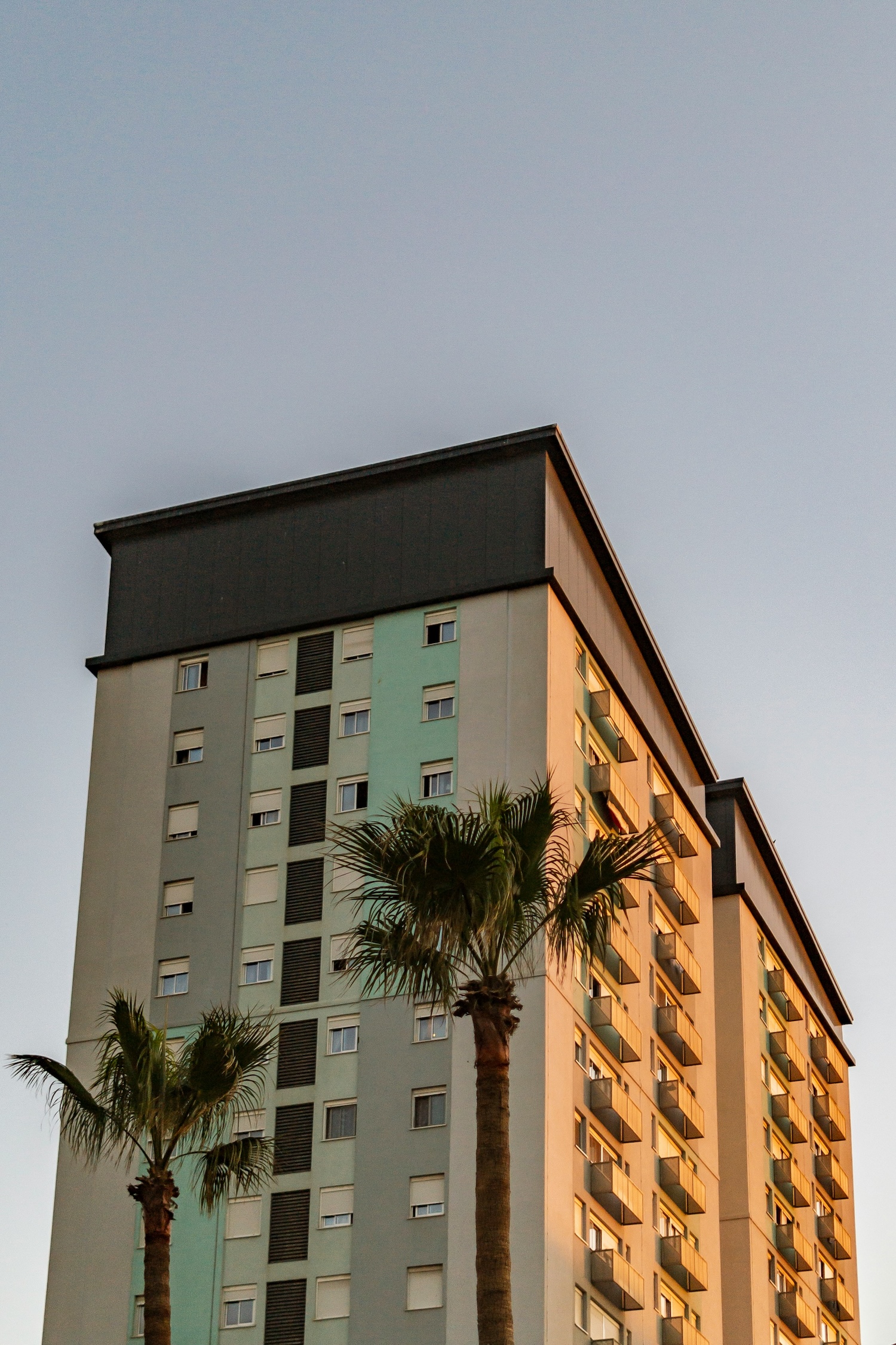 Tall residential building with balconies and two palm trees in front under a clear sky.