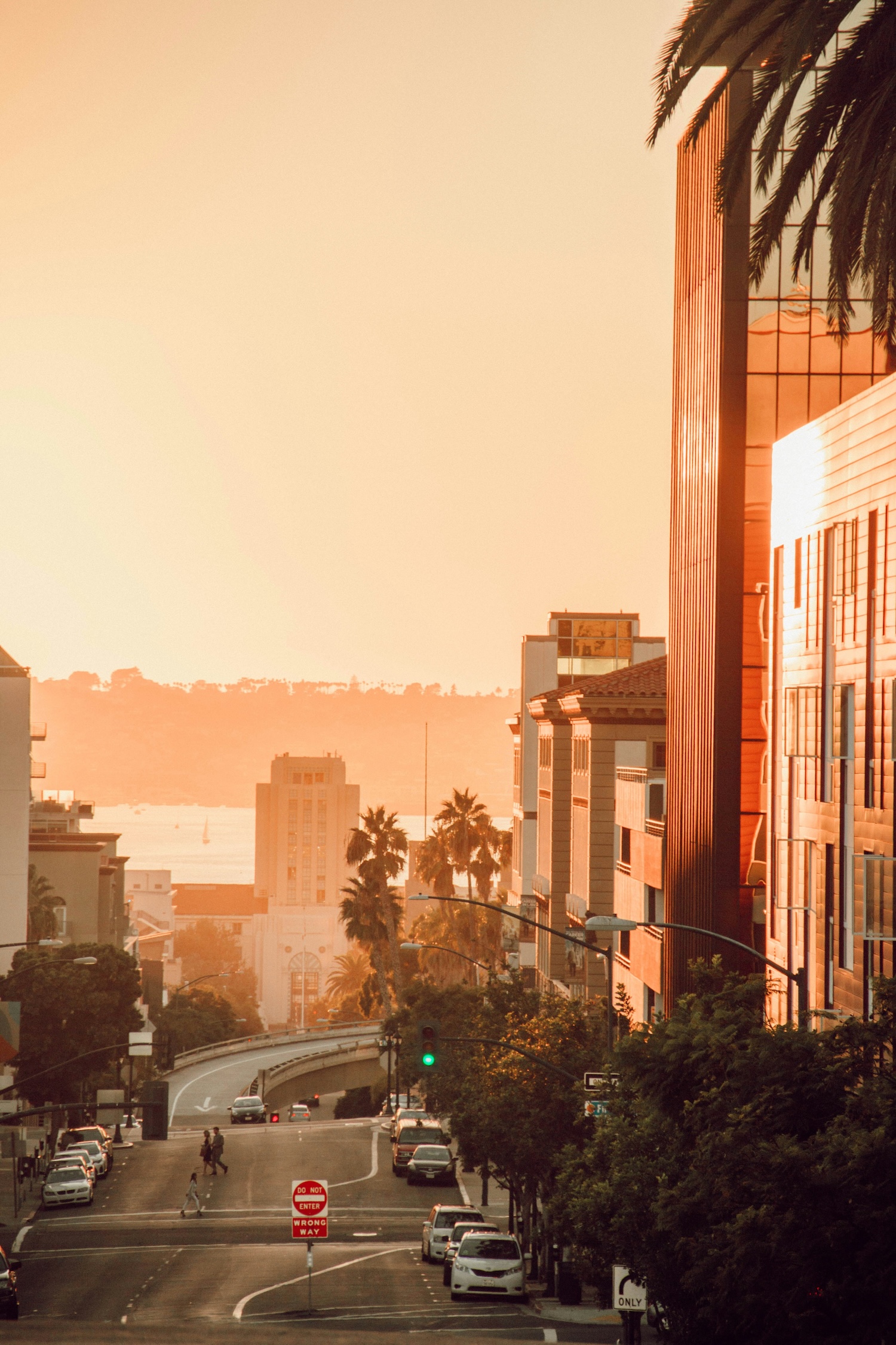 City street at sunset with palm trees, buildings, cars, and a water body in the background.