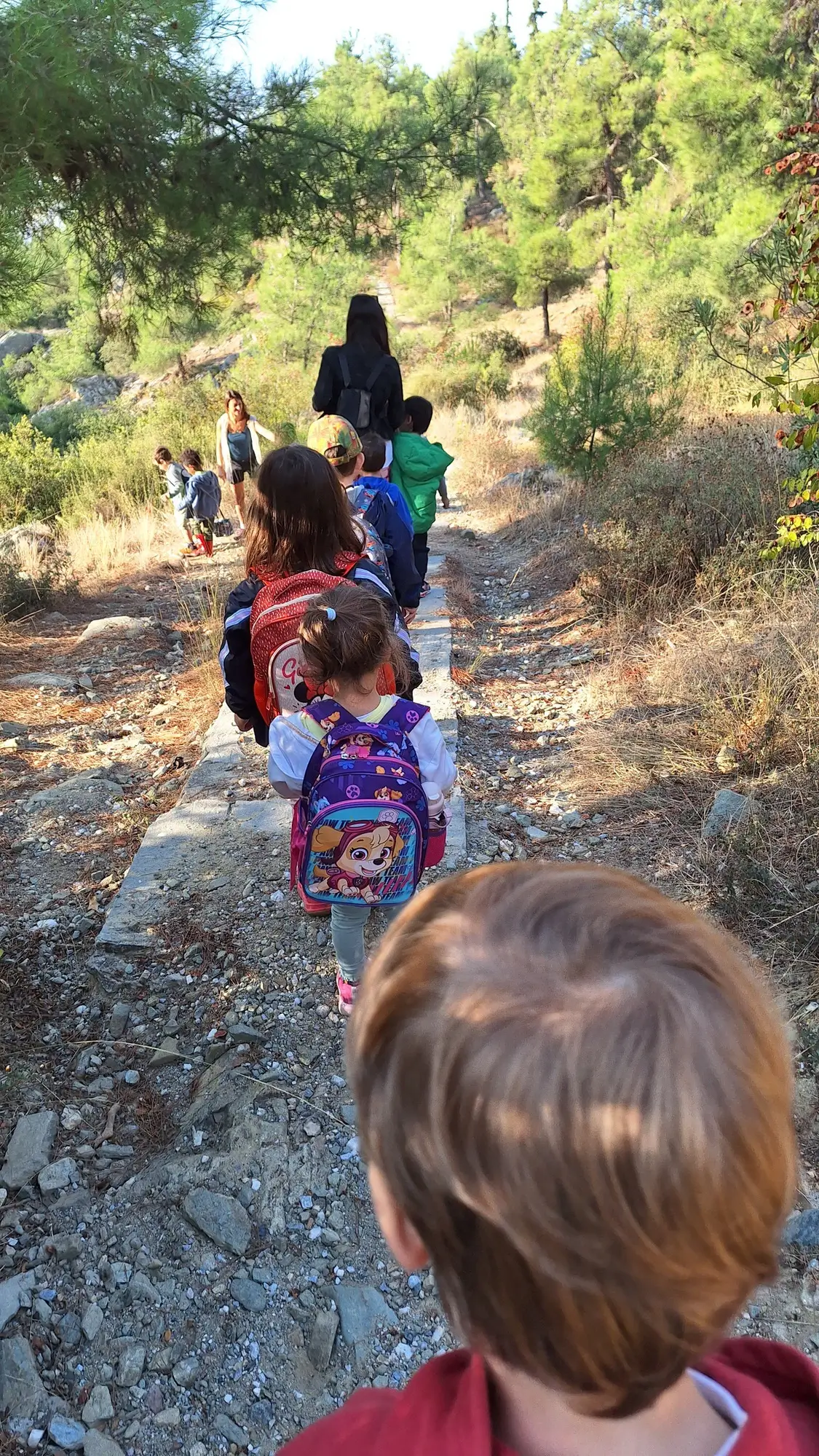 Παιδιά μαθαίνουν και εξερευνούν στο δάσος