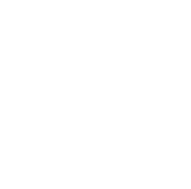 Trust Card Icon