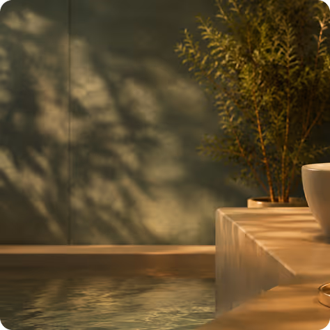 Indoor pool corner with calm water, a potted plant, and soft shadows on the wall.