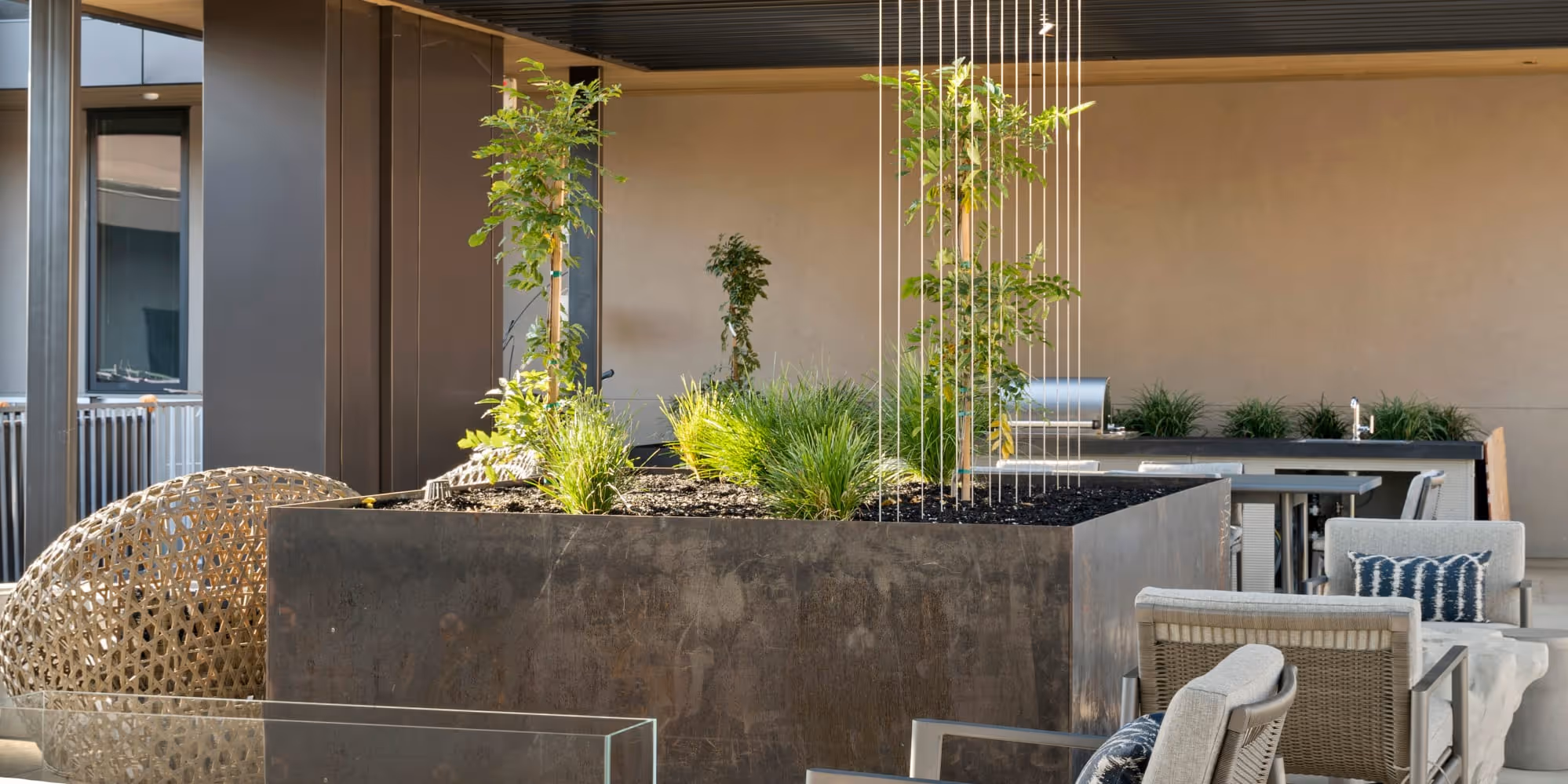 Outdoor lounge seating and grilling area