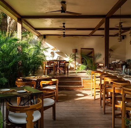 Open-air restaurant with wooden tables, ceiling fans and lush potted palms in warm sunlight.