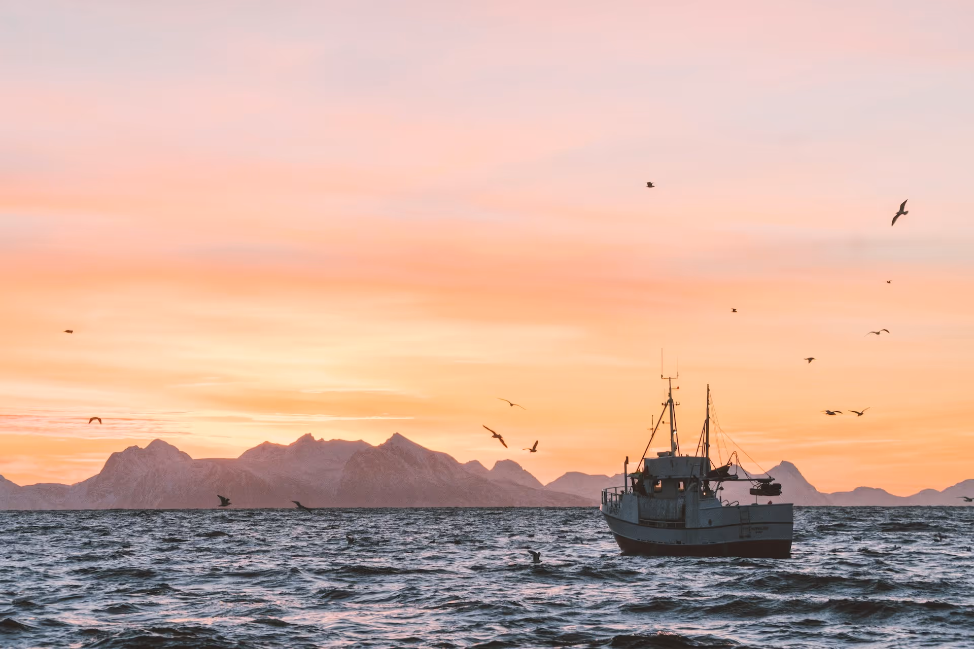 Fishing boat at sea at sunrise with seabirds overhead