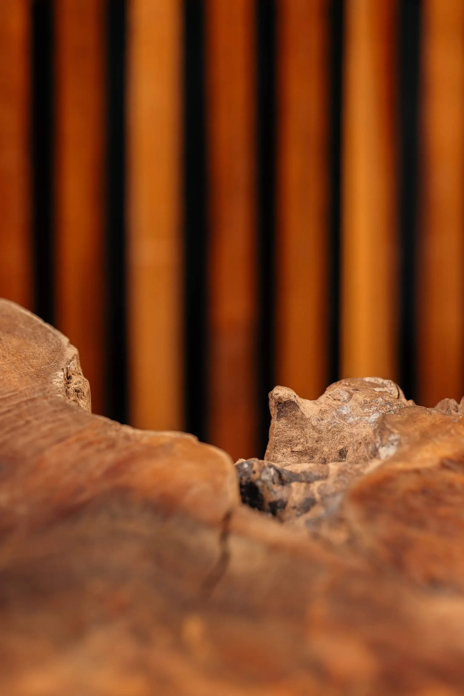 Close-up of textured wood surface with vertical blurred wooden slats in the background.